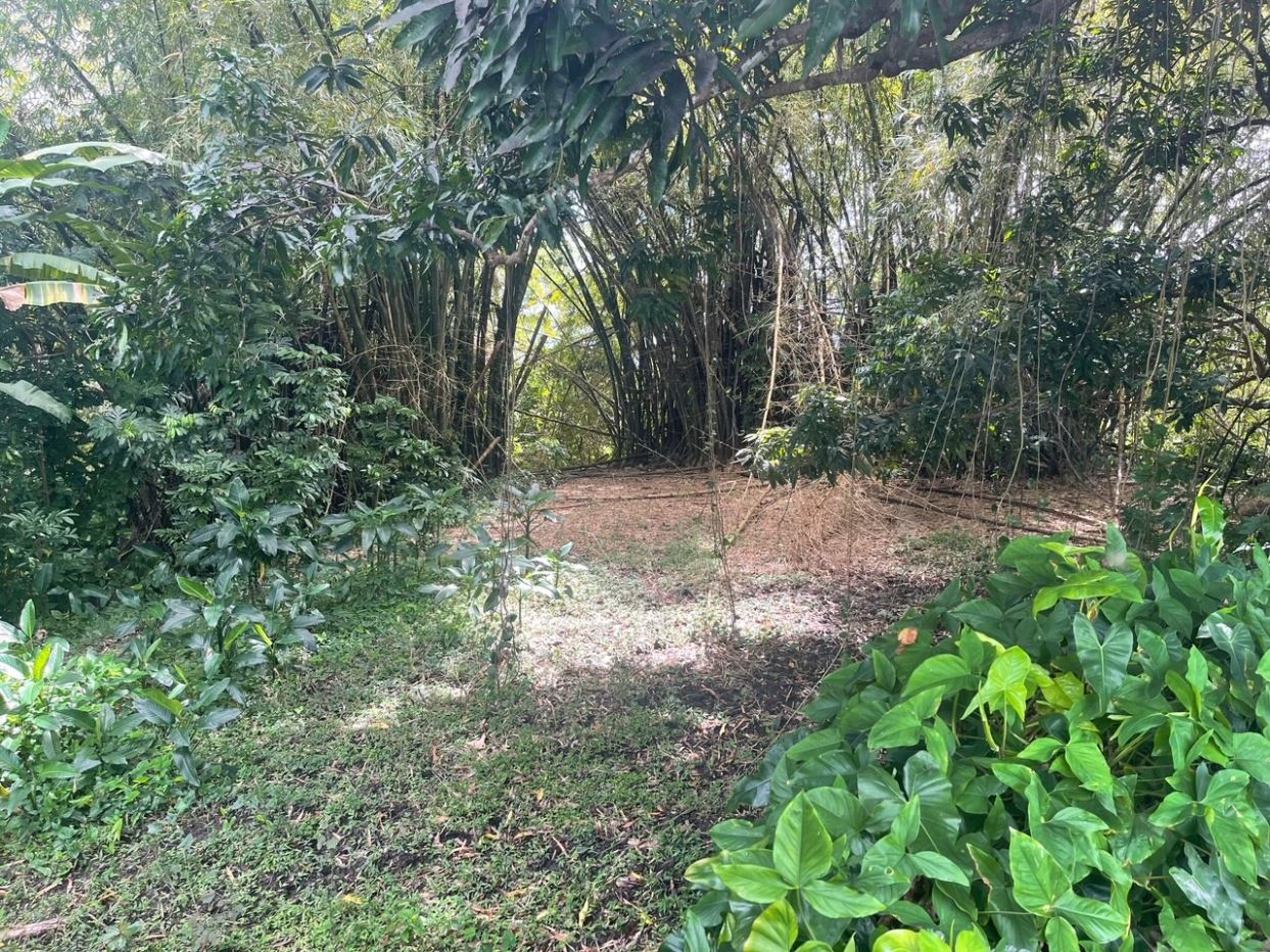 400 m² Mountain Lot in Yabucoa