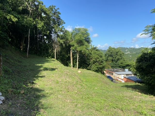 Terreno Bo. Guaraguao Sector Machuca