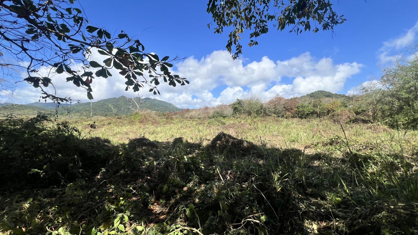 52 acres of land Bo. Cacao Bajo