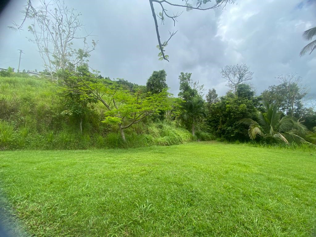 Gurabo