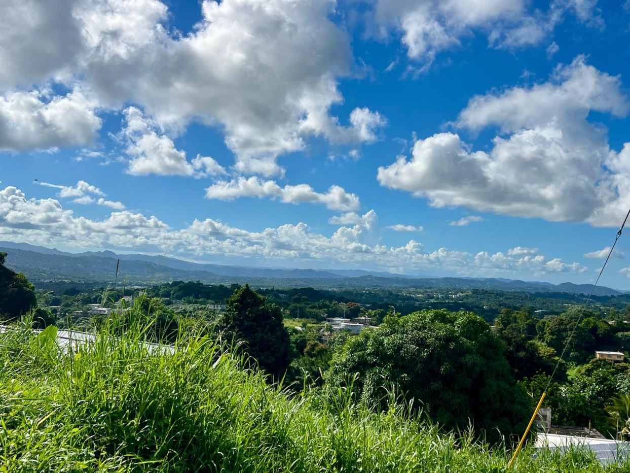 Land in Collores neighborhood