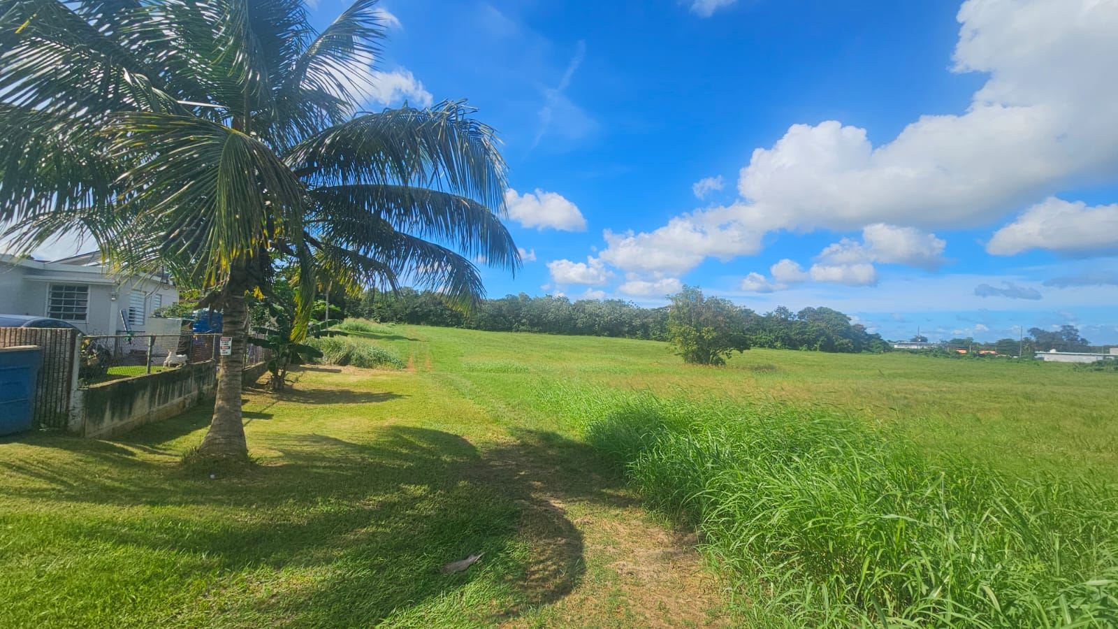 Land in Bo. Caimital Alto