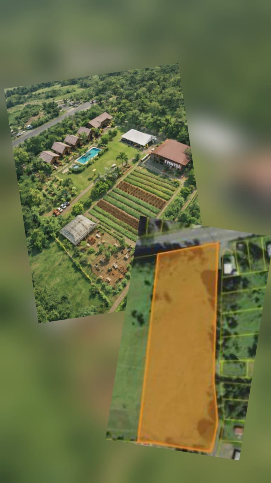 Land in Bo. Caimital Alto