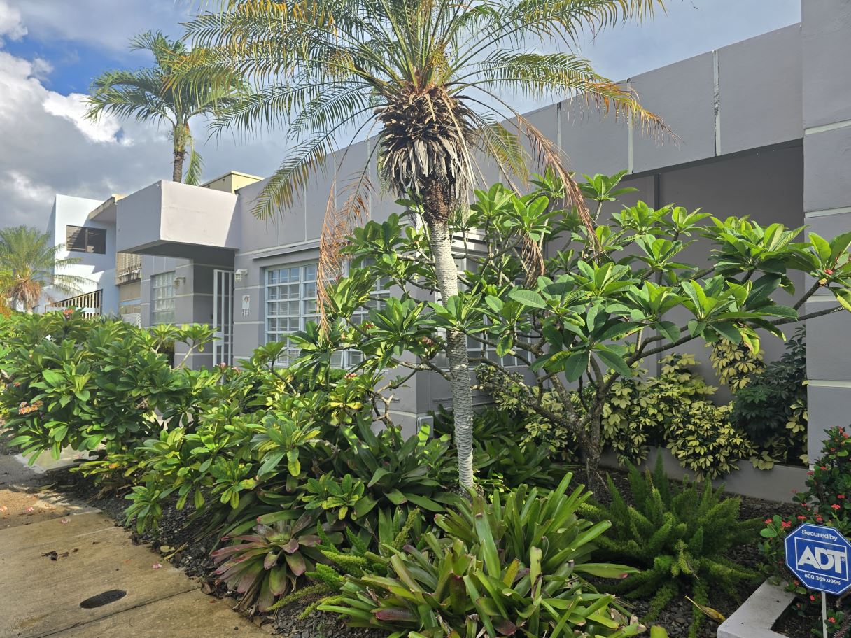 Home for Rent | University Gardens