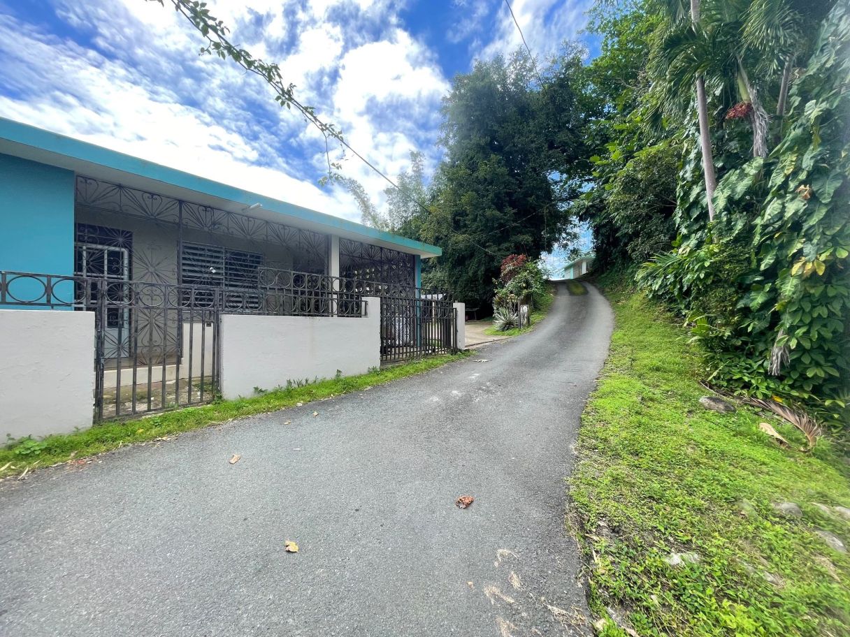 House with 5 acres of land in Bo. Calabazas