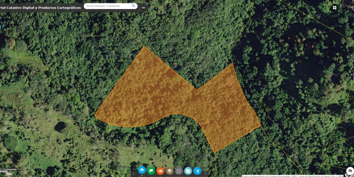 Lot located in Bo. Gurabo Abajo