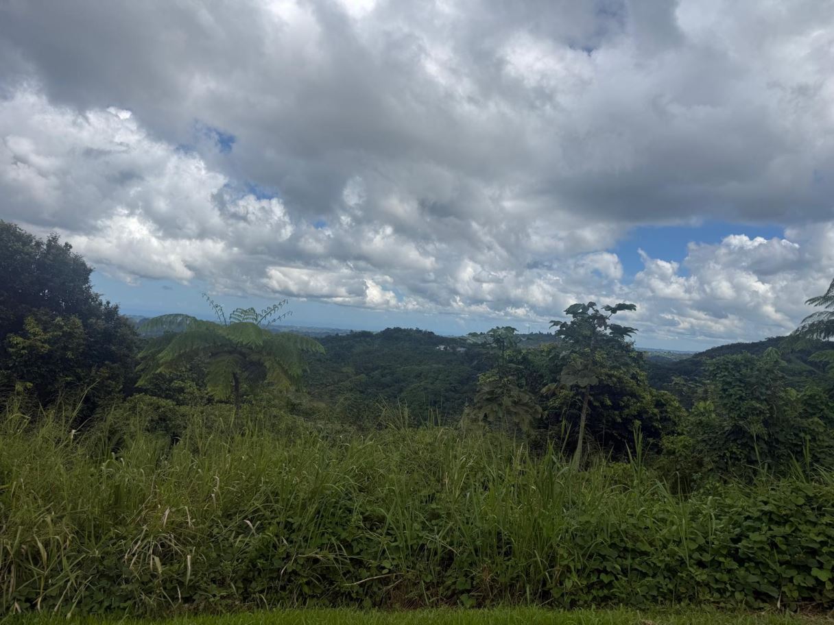 Puerto Rico!